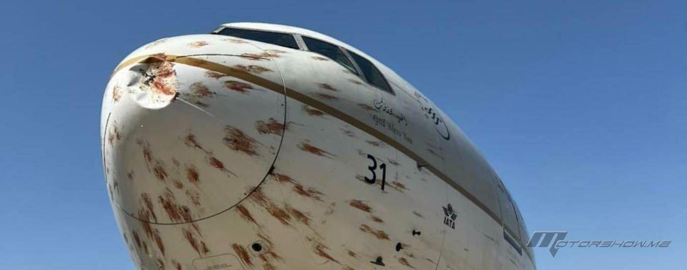 سرب من الطيور يهاجم طائرة سعودية