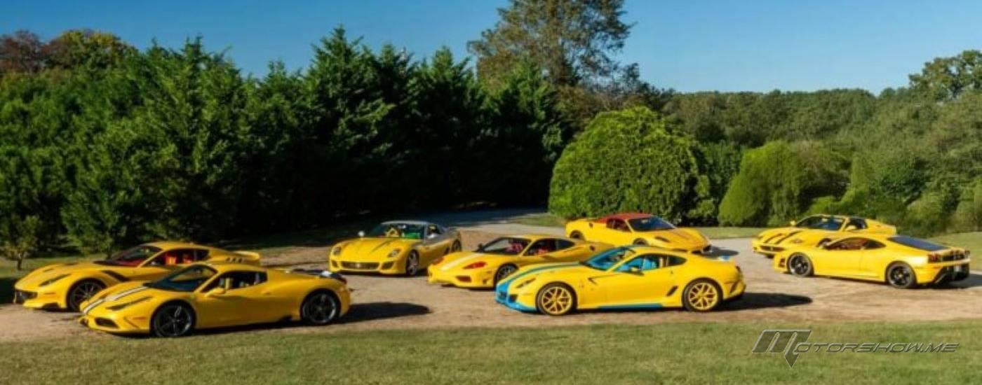 مجموعة نادرة من سيارات فيراري الكلاسيكية والحديثة تُعرض للبيع