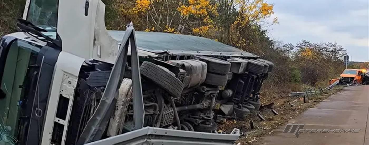 آلاف الدجاجات تتجول على الطرق في ألمانيا