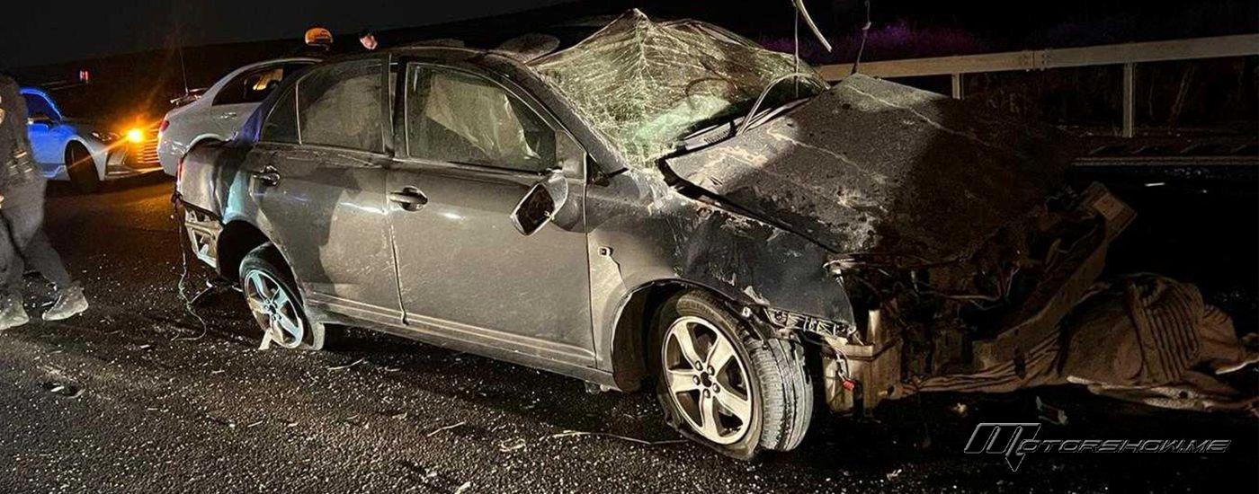 مصر تفقد عالمة بارزة في حادث سير مروّع